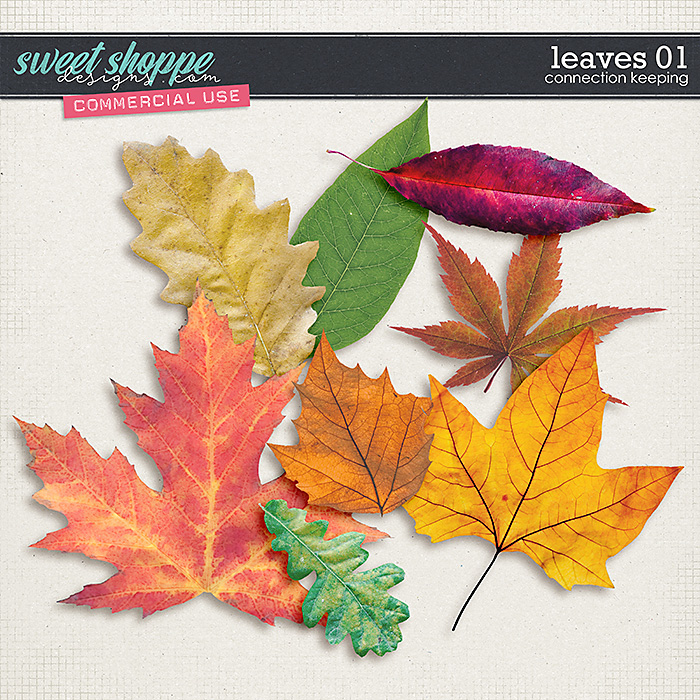CU Leaves 01 by Connection Keeping