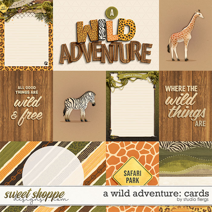 A Wild Adventure: CARDS by Studio Flergs