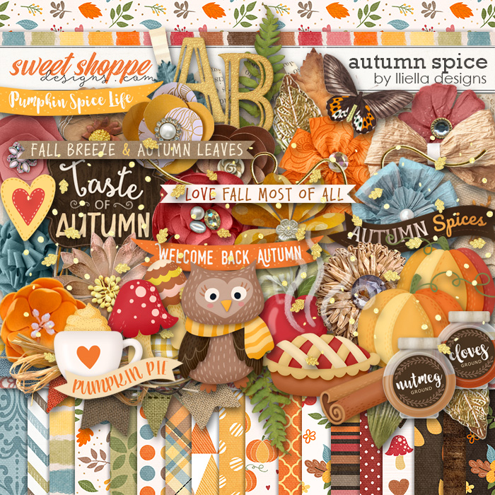 Autumn Spice by lliella designs