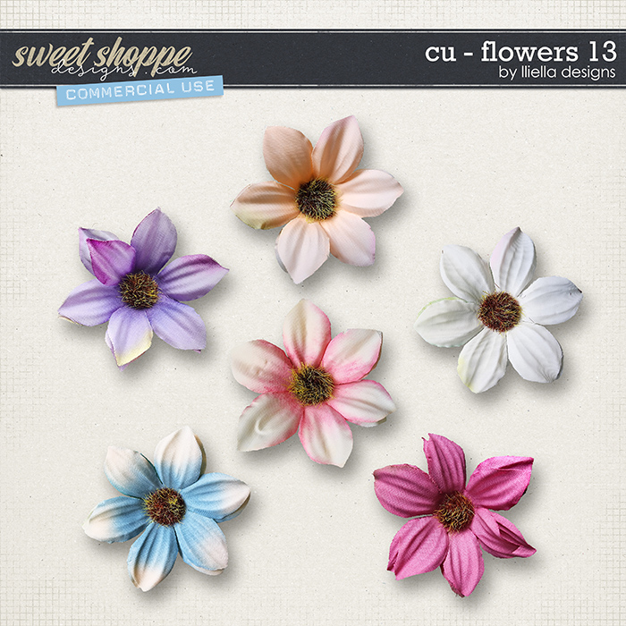 CU - Flowers 13 by lliella designs
