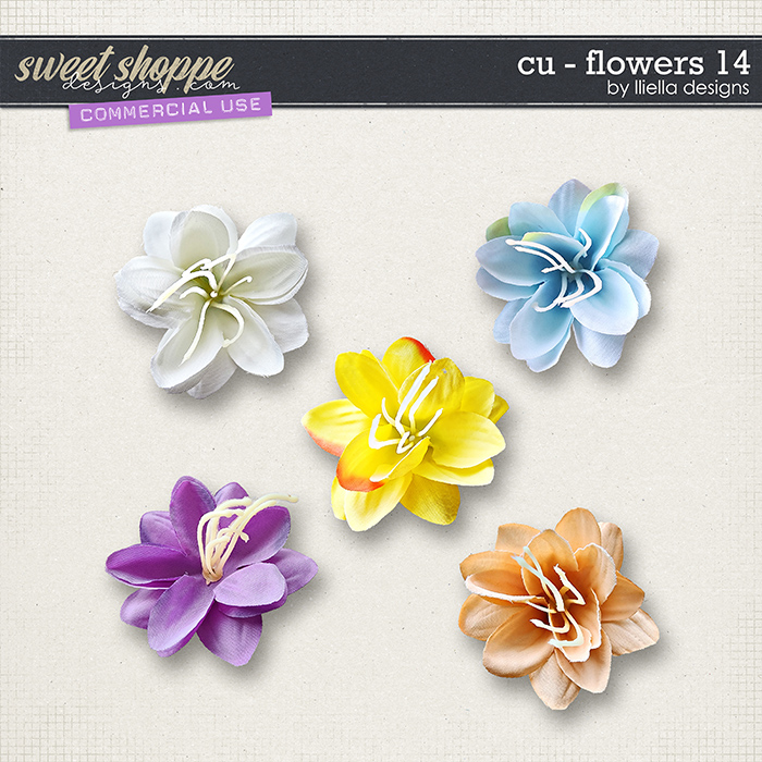 CU - Flowers 14 by lliella designs