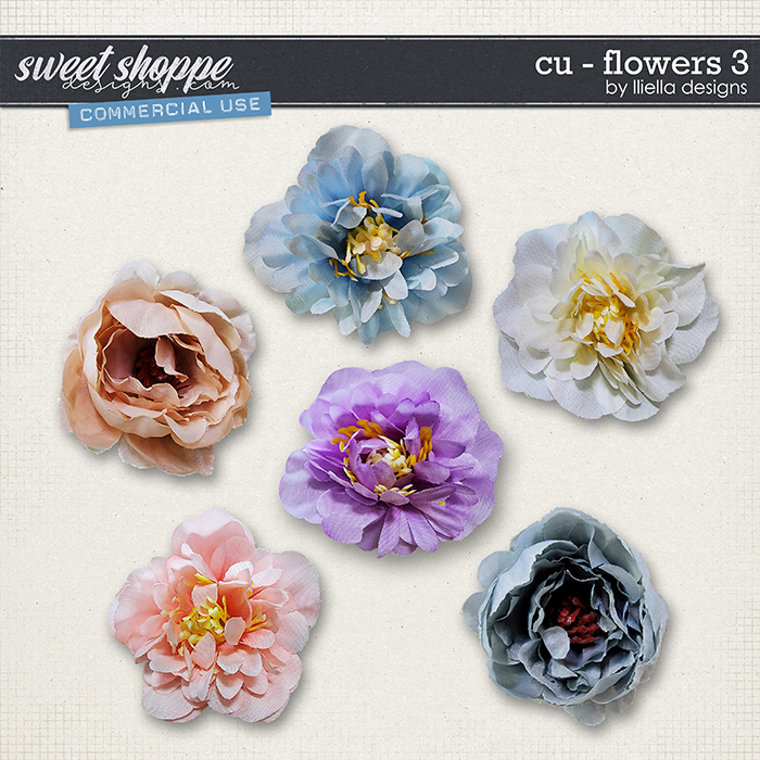 CU - Flowers 3 by lliella designs