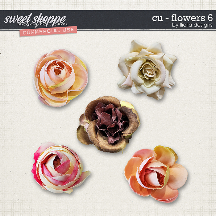 CU - Flowers 6 by lliella designs