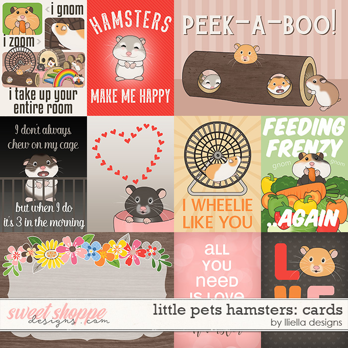 Little Pets Hamster Cards by lliella designs