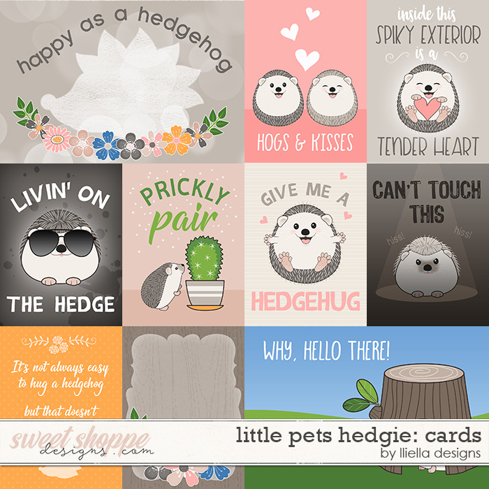 Little Pets Hedgie Cards by lliella designs