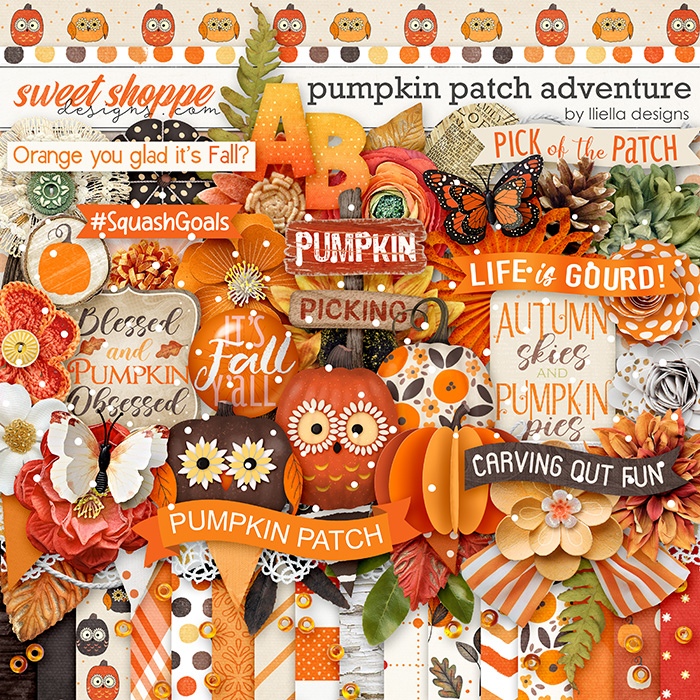 Pumpkin Patch Adventure by lliella designs