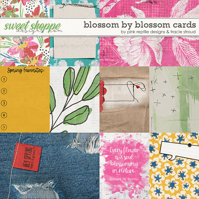 Blossom by Blossom Pocket Cards by Pink Reptile Designs and Tracie Stroud