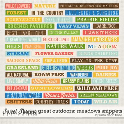 Great Outdoors: Meadows Snippets by Kristin Cronin-Barrow