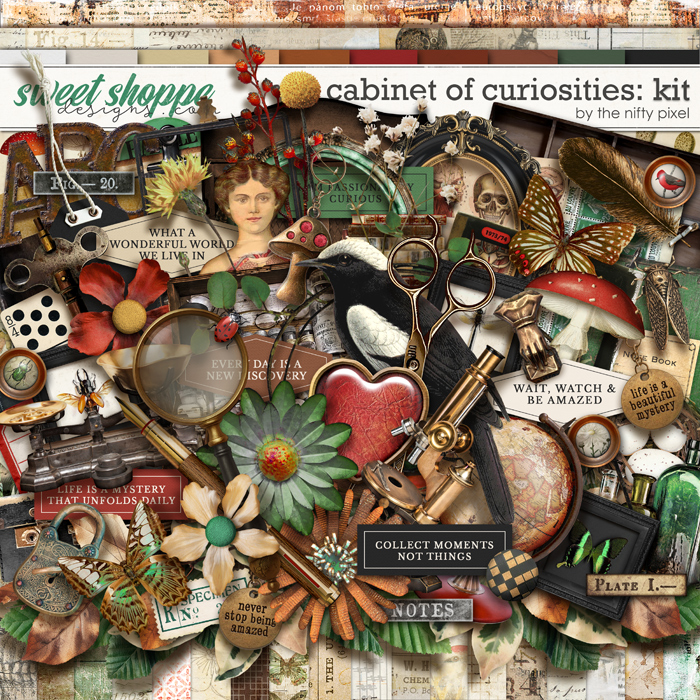 CABINET OF CURIOSITIES | KIT by The Nifty Pixel