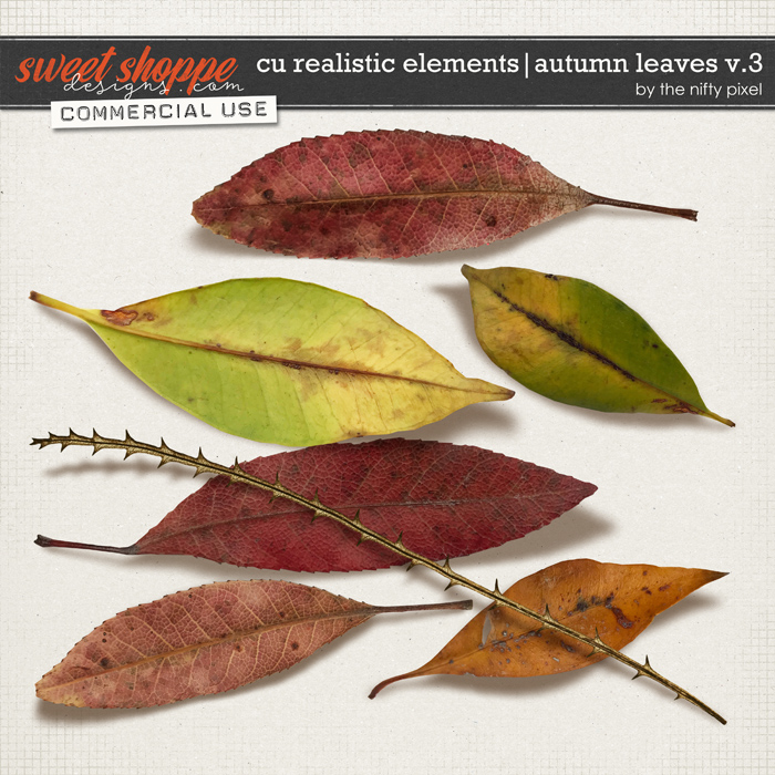 CU REALISTIC ELEMENTS | AUTUMN LEAVES V.3 by The Nifty Pixel