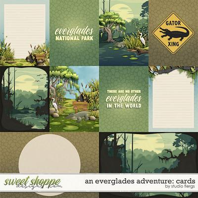 An Everglades Adventure: CARDS by Studio Flergs