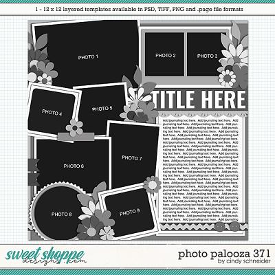 Cindy's Layered Templates - Photo Palooza 371 by Cindy Schneider