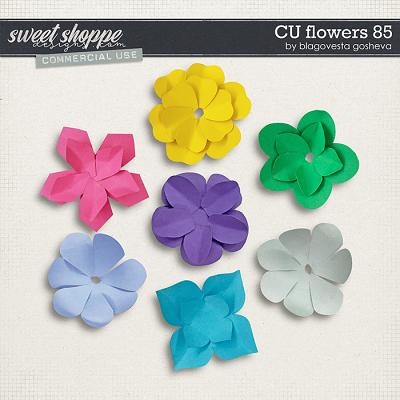 CU Flowers 85 by Blagovesta Gosheva