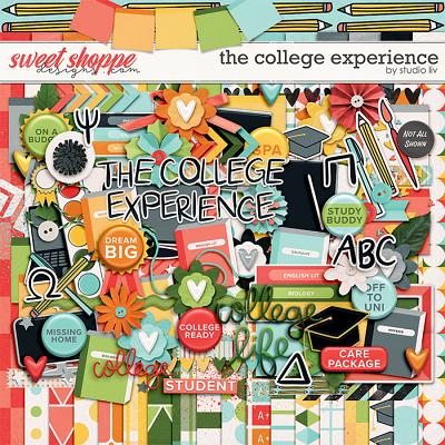 The College Experience by Studio Liv