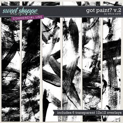 Got Paint? v.2 by Erica Zane