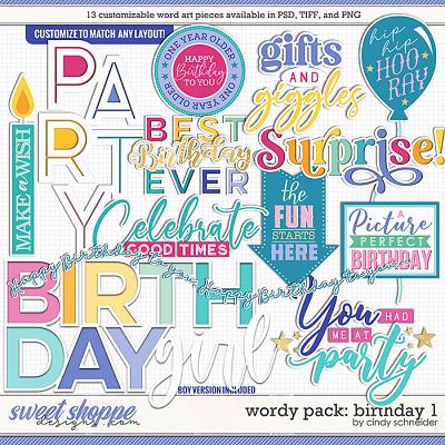 Cindy's Wordy Pack: Birthday 1 by Cindy Schneider