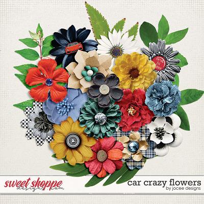 Car Crazy Flowers by JoCee Designs