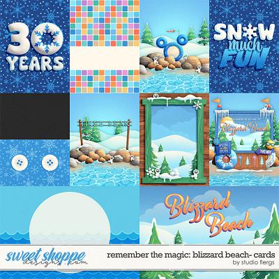 Remember the Magic: BLIZZARD BEACH: CARDS by Studio Flergs