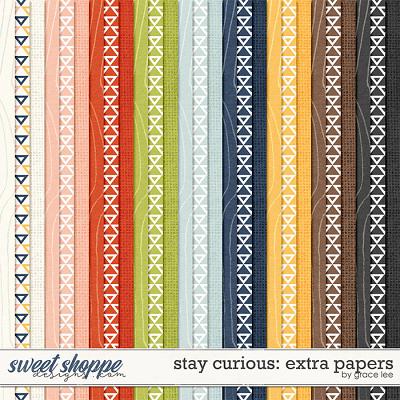 Stay Curious: Extra Papers by Grace Lee
