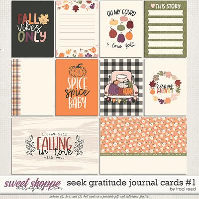 Seek Gratitude Journal Cards #1 by Traci Reed