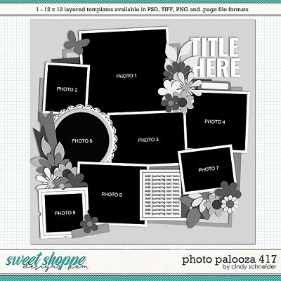 Cindy's Layered Templates - Photo Palooza 417 by Cindy Schneider