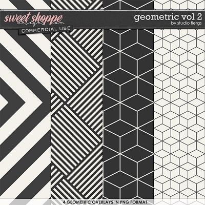Geometric VOL 2 by Studio Flergs