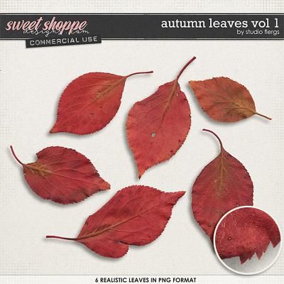 Auntumn Leaves VOL 1 by Studio Flergs