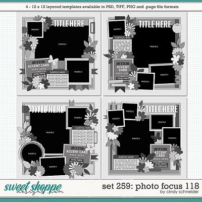 Cindy's Layered Templates - Set 259: Photo Focus 118 by Cindy Schneider