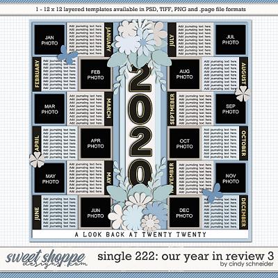 Cindy's Layered Templates - Single 222: Our Year in Review 3 by Cindy Schneider