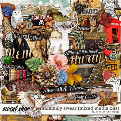 I solemnly swear (mixed media bits) by Little Butterfly Wings