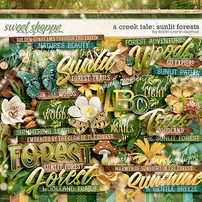 A Creek Tale: Sunlit Forets by Kristin Cronin-Barrow
