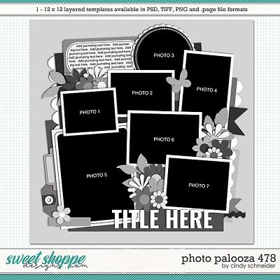 Cindy's Layered Templates - Photo Palooza 478 by Cindy Schneider