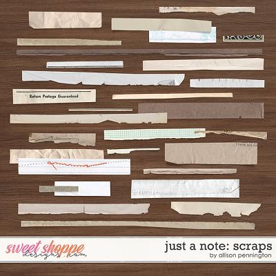 Just a Note: Scraps by Allison Pennington