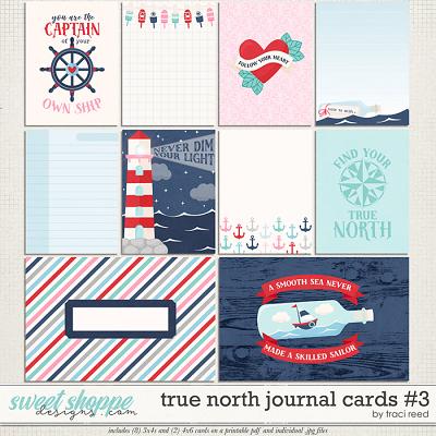 True North Cards #3 by Traci Reed
