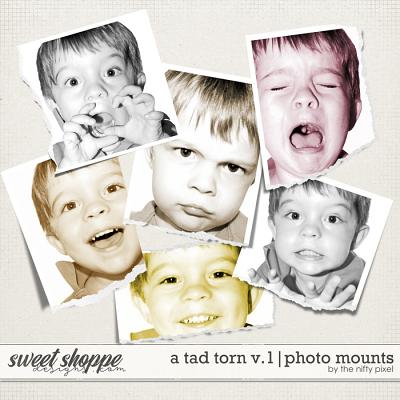 A TAD TORN V.1 | PHOTO CLIPPING MASKS by The Nifty Pixel