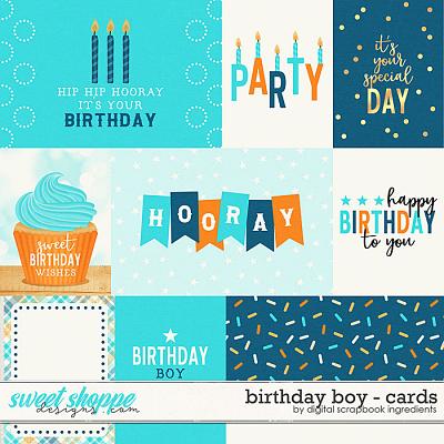 Birthday Boy | Cards by Digital Scrapbook Ingredients