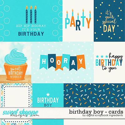 Birthday Boy | Cards by Digital Scrapbook Ingredients