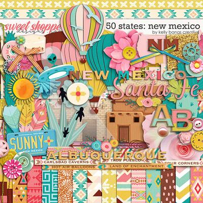50 States: New Mexico by Kelly Bangs Creative