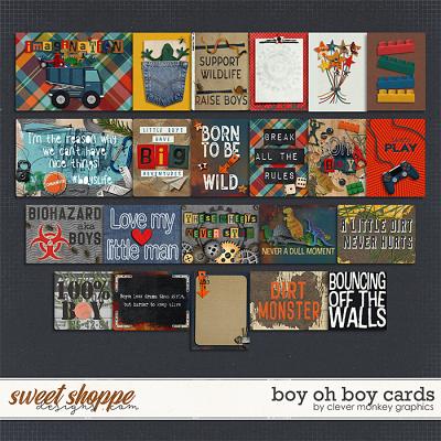 Boy oh Boy Cards by Clever Monkey Graphics 