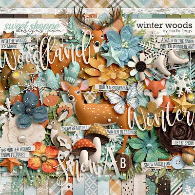Winter Woods by Studio Flergs