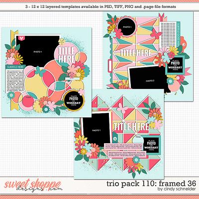 Cindy's Layered Templates - Trio Pack 110: Framed 36 by Cindy Schneider