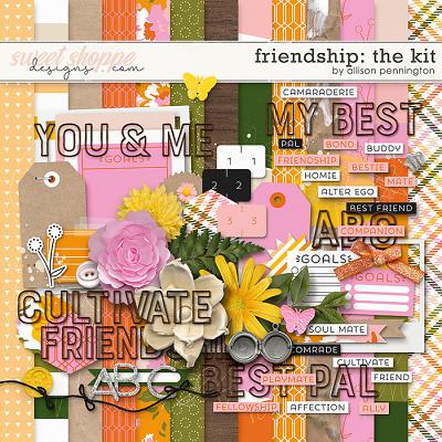 Friendship: The Kit by Allison Pennington