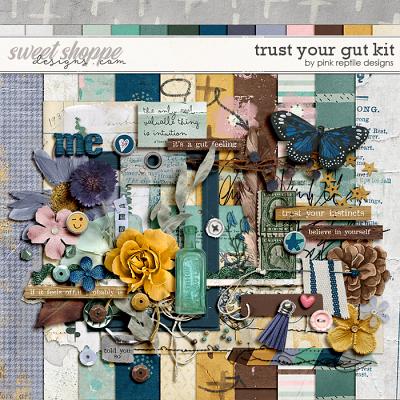 Trust Your Gut Kit by Pink Reptile Designs