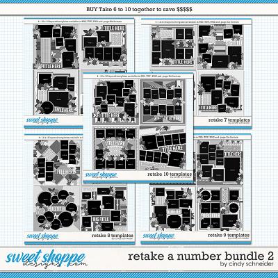 Retake All The Numbers Bundle 2 by Cindy Schneider