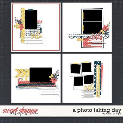 A PHOTO TAKING DAY by Janet Phillips