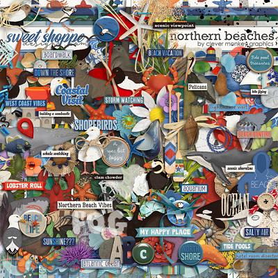 Northern Beaches by Clever Monkey Graphics 