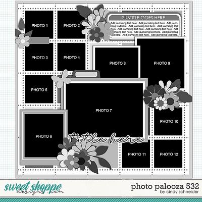 Cindy's Layered Templates - Photo Palooza 532 by Cindy Schneider