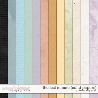 The last minute (solid papers) by Little Butterfly Wings