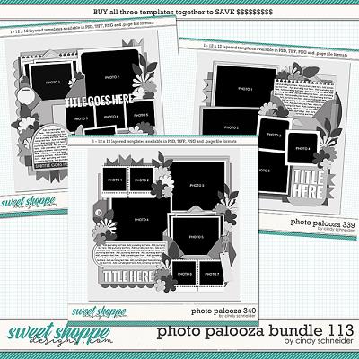 Cindy's Layered Templates - Photo Palooza Bundle 113 by Cindy Schneider