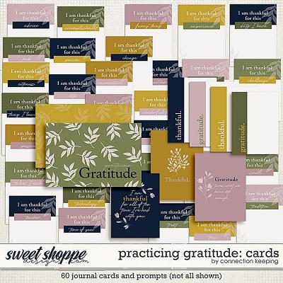 Practicing Gratitude Journal Cards by Connection Keeping